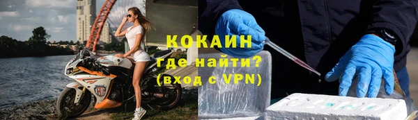 гашик Зерноград