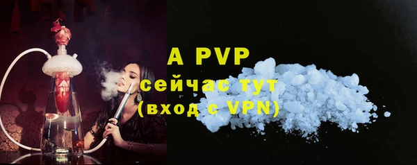гашик Зерноград