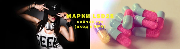 гашик Зерноград