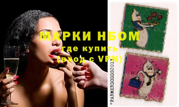 гашик Зерноград