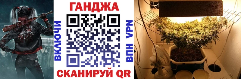 Купить где  Зеленокумск  Каннабис сатива 